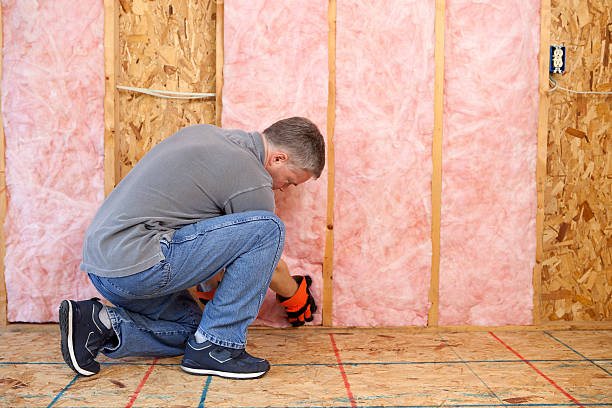 Best Specialized Insulation Services in Gilmer, TX