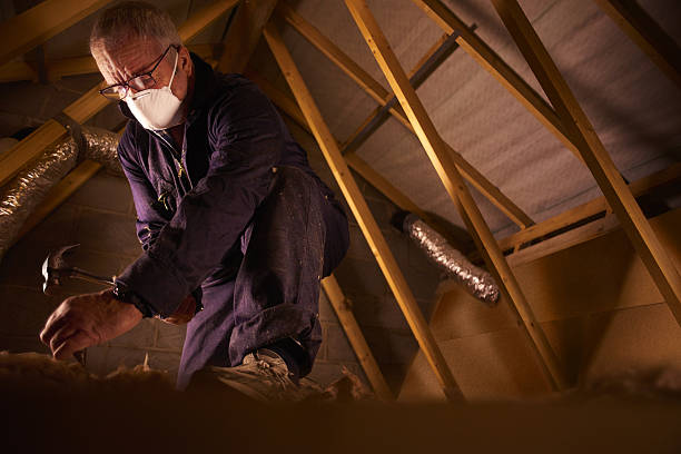 Best Commercial Insulation in Gilmer, TX